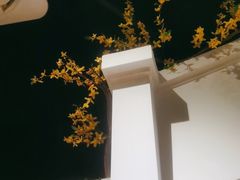 -春天来了(印象新天地店)