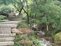 -石老人观光园