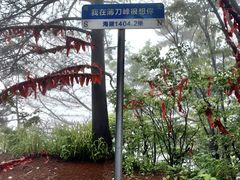 -罗田薄刀峰风景区