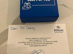 -新加坡乌节希尔顿酒店 (SG Clean)