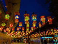 -锦江乐园舞狸花花游园会(夜场专享)