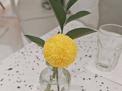-大树餐厅(朝阳大悦城店)