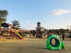 -上海长兴岛郊野公园