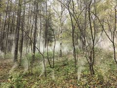-帽儿山风景区