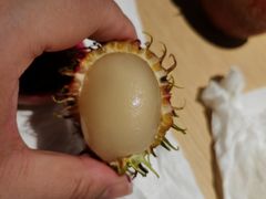 -港华水果街(港华广场店)