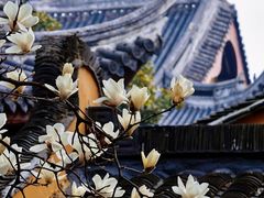 -龙华寺