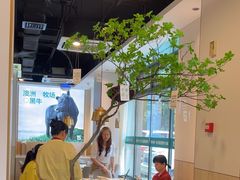 -五星桥原切肥牛火锅(怀德桥店)