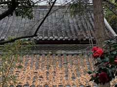 -望江楼公园