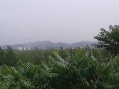 -荆轲塔