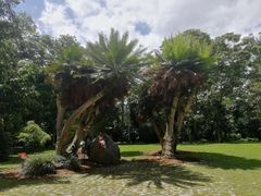 -中国科学院西双版纳热带植物园