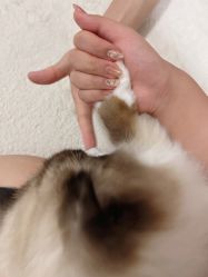 -手艺人不办卡美甲美睫