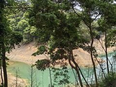 -广州市流溪河国家森林公园