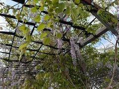 -小鱼草莓采摘园农家乐·小鱼餐厅