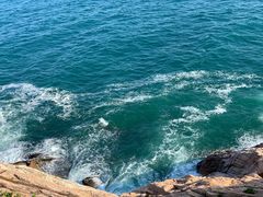 -广东惠东海龟国家级自然保护区