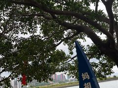 -碧桂园十里银滩
