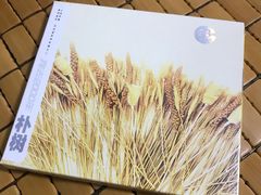 -独音唱片 Indie Music