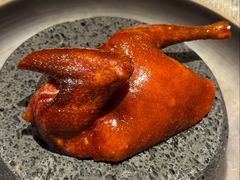 -广州富力君悦大酒店空中花园