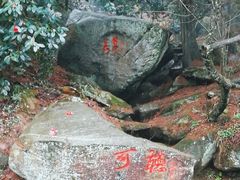 -庐山风景区花径公园