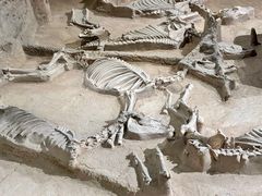 -洛阳周王城天子驾六博物馆