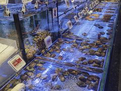 -海都六福酒家(世博广场店)