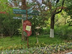 -东平国家森林公园