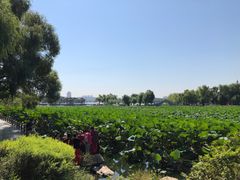 -长春市南湖公园