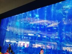 -成都浩海立方海洋公园