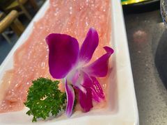 -渝宗老灶火锅(巴国城店)