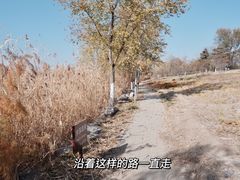 -绿堤公园