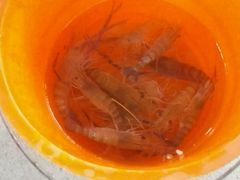 -小象钓虾·营地烧烤(洛溪店)