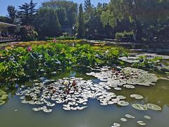 -国家植物园南园