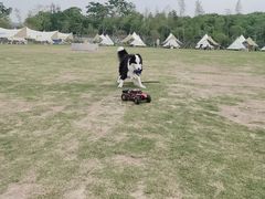 -不觉晓CAMPING(上海迪士尼营地店)