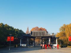 -泰州凤城河风景区-泰山公园
