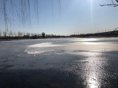 -北京园博大酒店