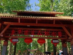 -东平国家森林公园