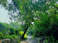 -阳台山自然风景区