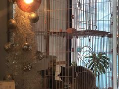 -灯塔咖啡馆BOOK·Coffee Shop