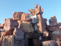 -伏羲山旅游区
