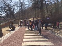 -阳台山自然风景区