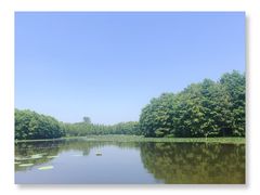 -尚湖风景区