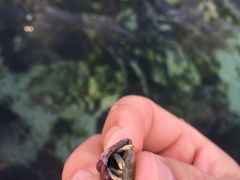 -白沙湾海滩