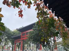 -东水关遗址公园