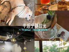 -咖法森林·咖啡  酒吧(天河店)