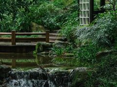 -中国茶叶博物馆(双峰馆区)