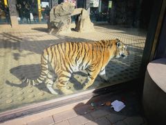 -西安秦岭野生动物园