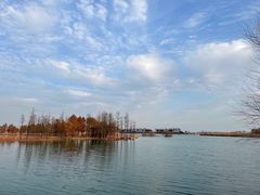 -贡湖湾湿地公园