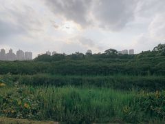 -广西壮族自治区药用植物园