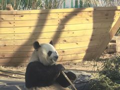 -秦皇岛野生动物园