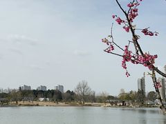 -上海植物园-4号门售票处