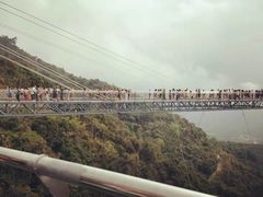 -呀诺达热带雨林